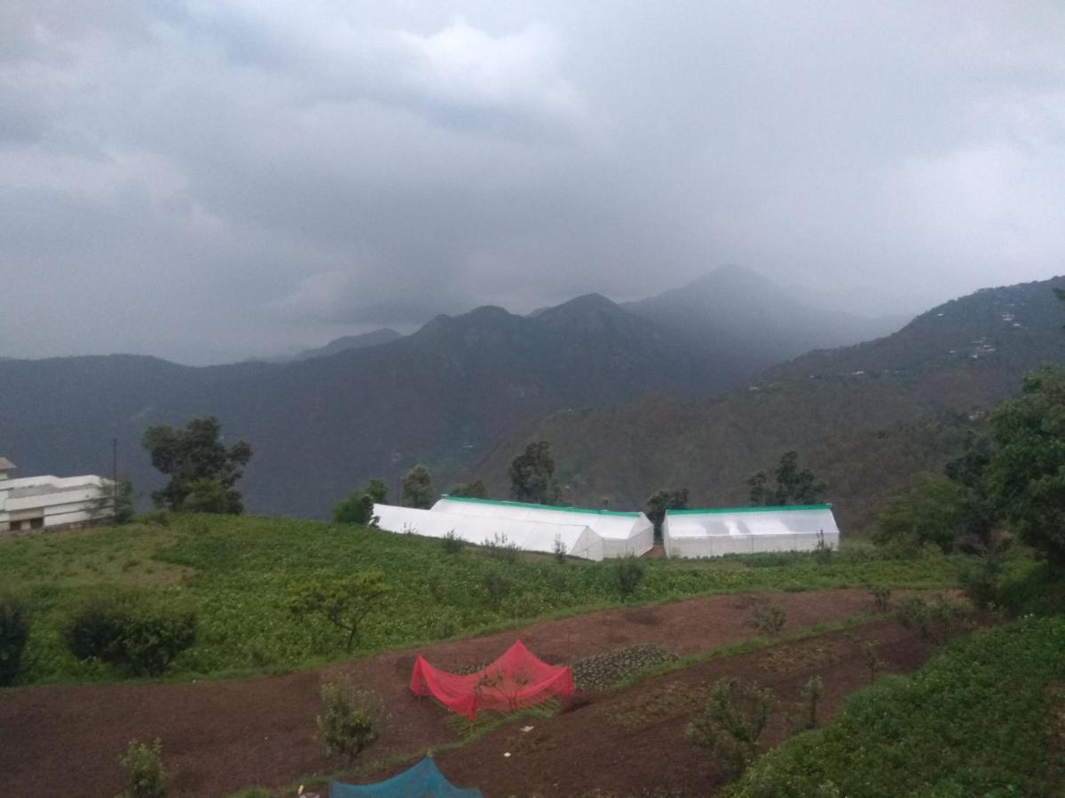 Green View Resort New Tehri Esterno foto
