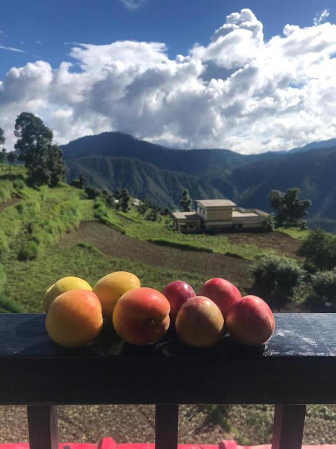 Green View Resort New Tehri Esterno foto